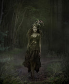 Artistic Photography